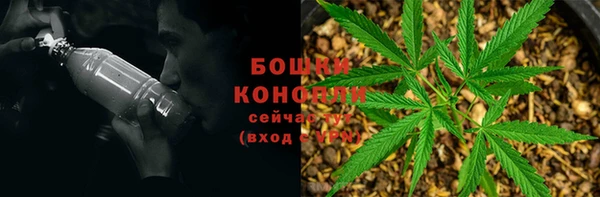 ECSTASY Каменск-Шахтинский