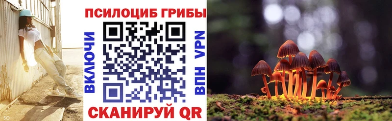 Купить Тогучин Галлюциногенные грибы Psilocybine cubensis
